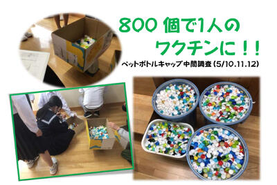 ペットボトルキャップ5月中間調査